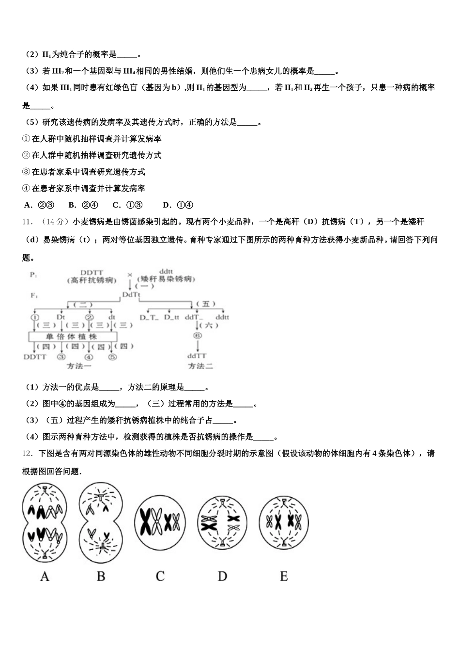 2024-2025学年山东省德州市乐陵市第一中学高一下生物期末复习检测模拟试题含解析_第3页