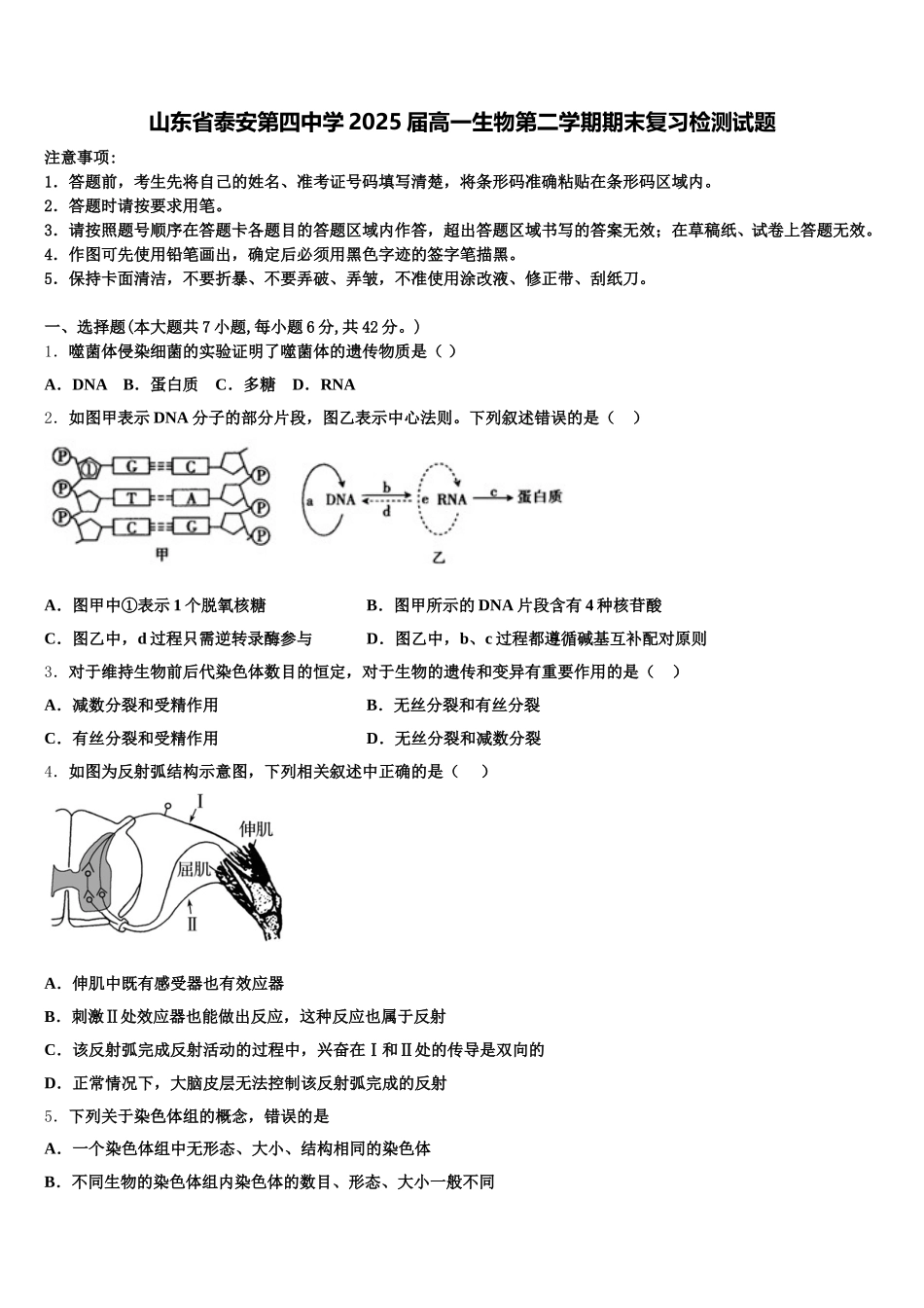 山东省泰安第四中学2025届高一生物第二学期期末复习检测试题含解析_第1页