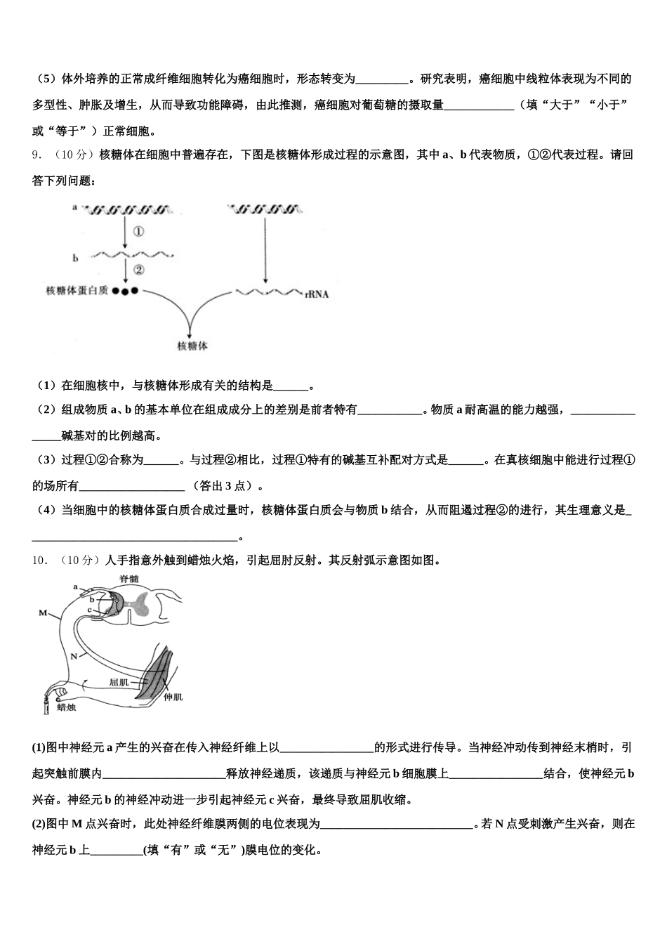 2025届山东省邹平市一中学校生物高一下期末经典试题含解析_第3页