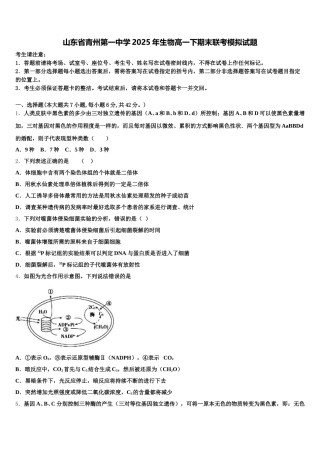 山东省青州第一中学2025年生物高一下期末联考模拟试题含解析