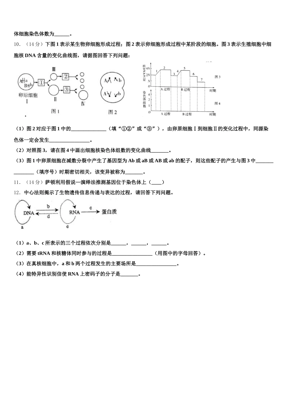 山东省文登一中2025届高一生物第二学期期末达标测试试题含解析_第3页