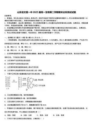 山东省文登一中2025届高一生物第二学期期末达标测试试题含解析