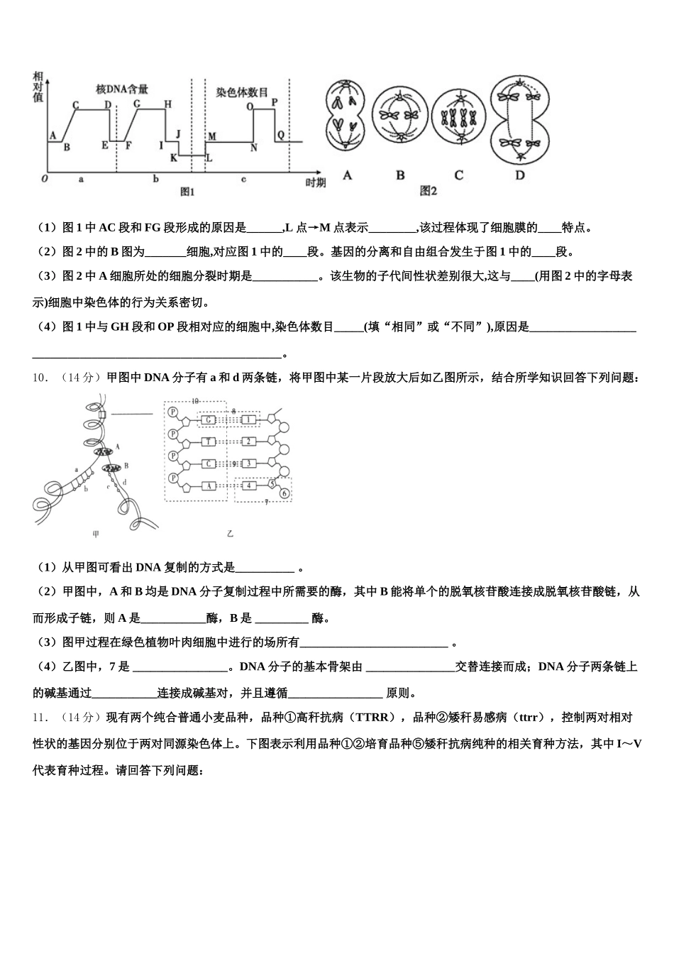 山东省日照第一中学2025年生物高一第二学期期末学业水平测试模拟试题含解析_第3页