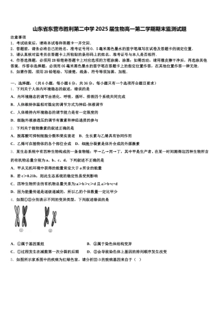 山东省东营市胜利第二中学2025届生物高一第二学期期末监测试题含解析