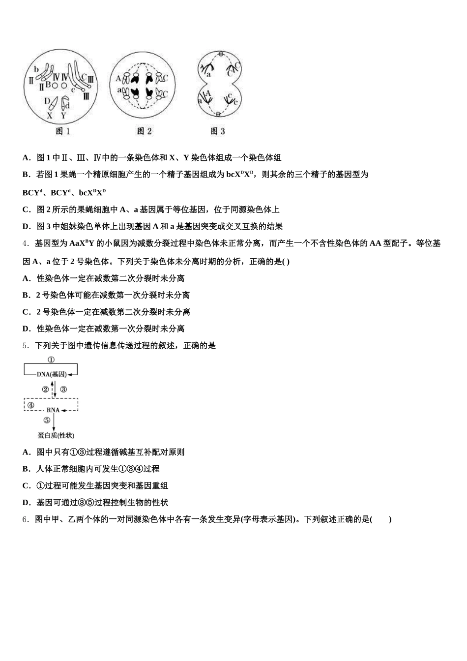 2025届山东省九校高一生物第二学期期末调研模拟试题含解析_第2页