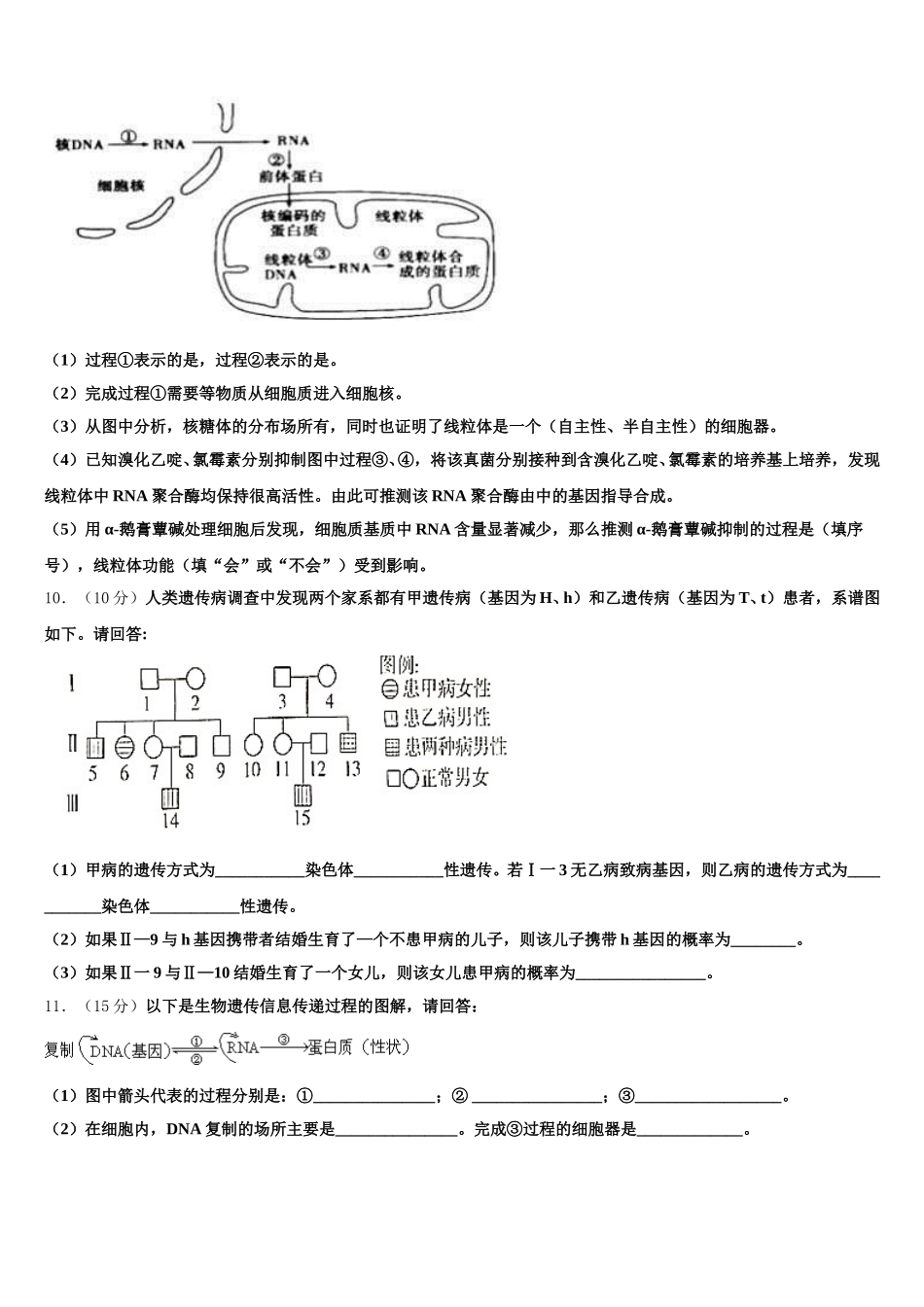 山东省名校联盟新教材2024-2025学年高一下生物期末质量检测模拟试题含解析_第3页