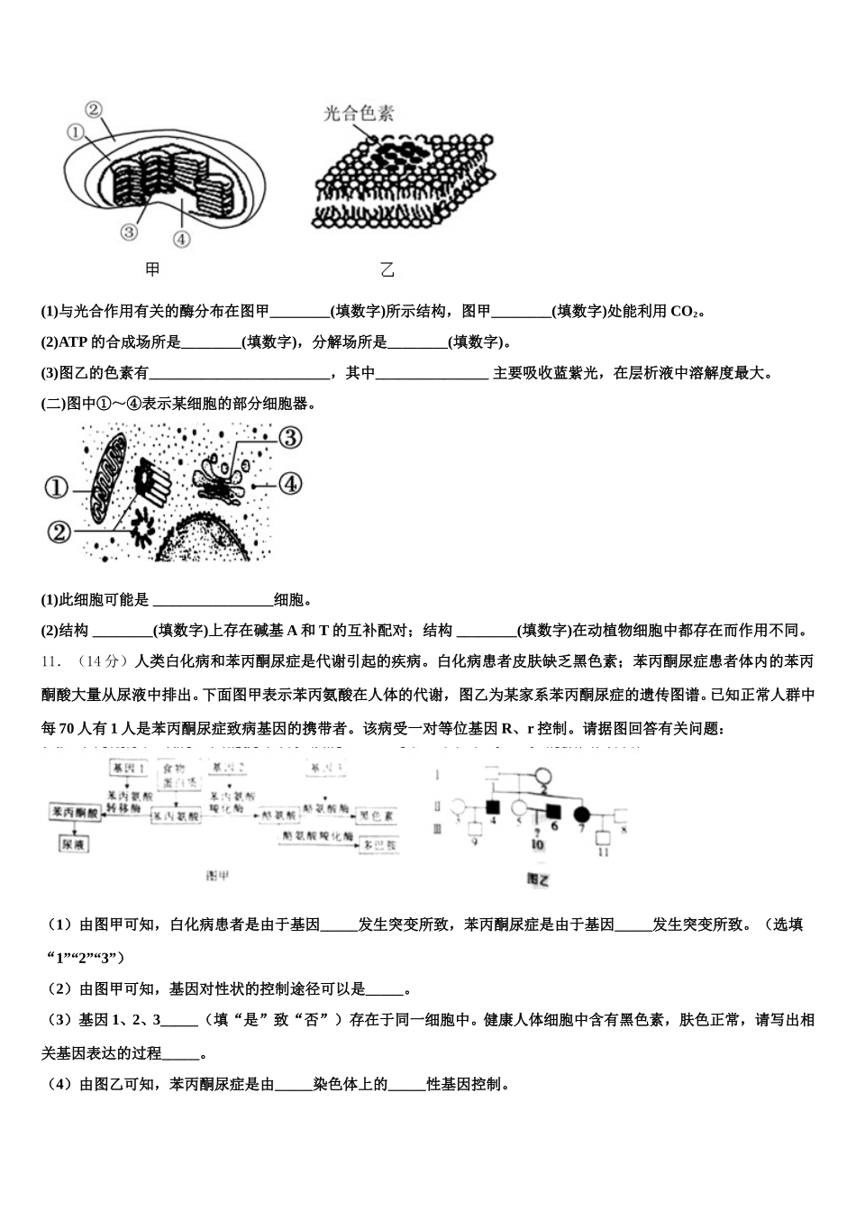 2025年山东省滨州市邹平一中生物高一第二学期期末监测模拟试题含解析_第3页