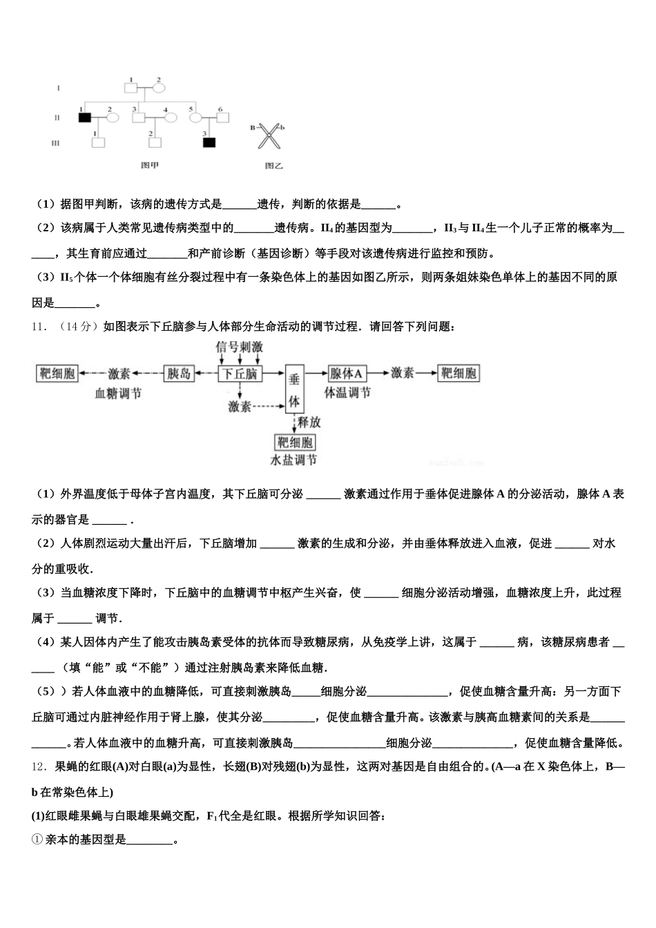 2025年山东省济宁市微山县第二中学高一下生物期末检测模拟试题含解析_第3页