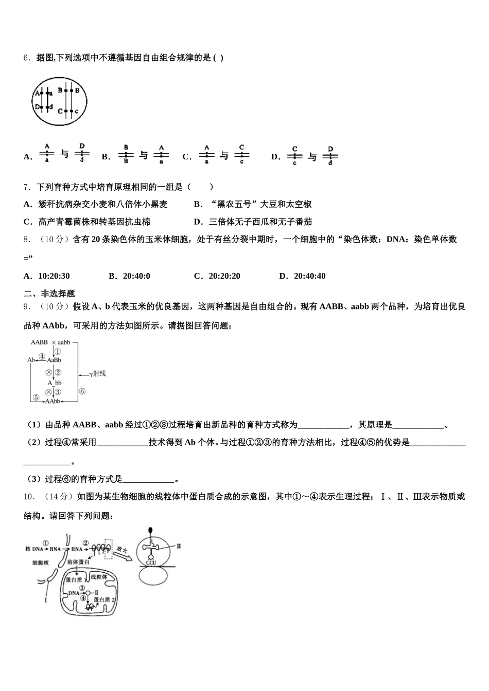 山东省菏泽市部分重点学校2025届生物高一第二学期期末学业水平测试模拟试题含解析_第2页
