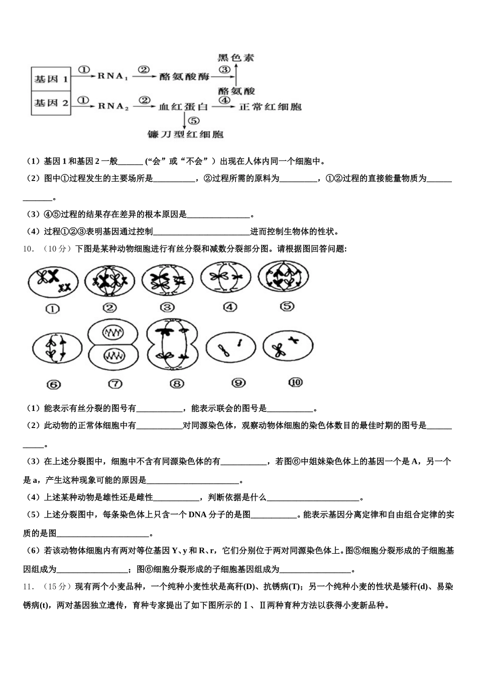 2024-2025学年山东省滨州市五校联考生物高一第二学期期末学业质量监测试题含解析_第3页
