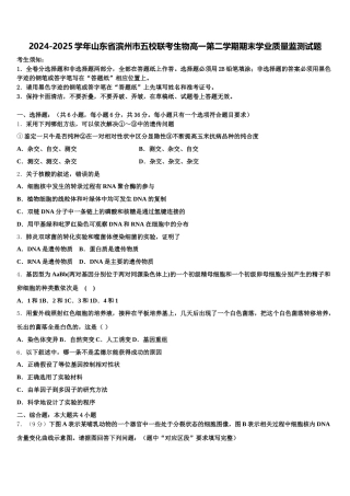 2024-2025学年山东省滨州市五校联考生物高一第二学期期末学业质量监测试题含解析