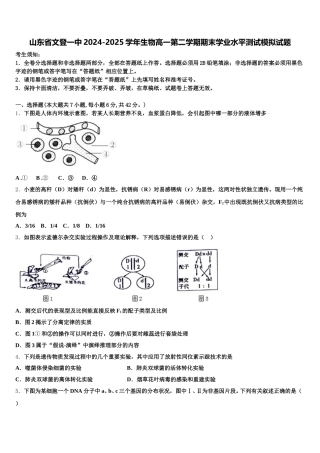 山东省文登一中2024-2025学年生物高一第二学期期末学业水平测试模拟试题含解析