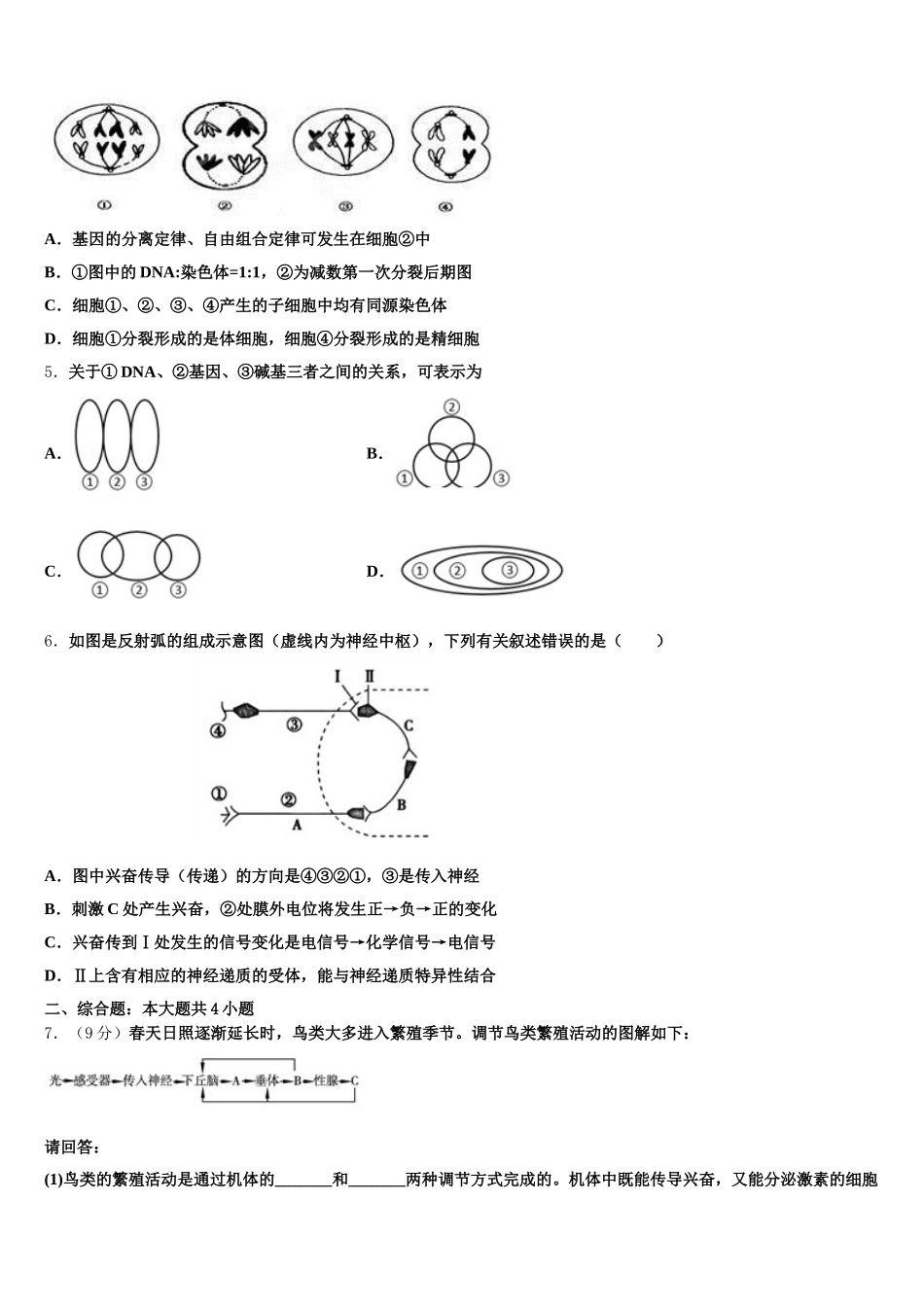 2025年山东德州一中生物高一下期末综合测试模拟试题含解析_第2页