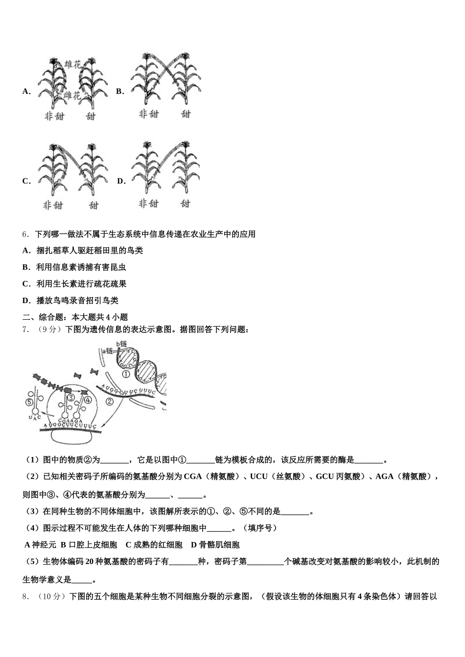 2024-2025学年山东省宁阳市生物高一第二学期期末质量跟踪监视模拟试题含解析_第2页