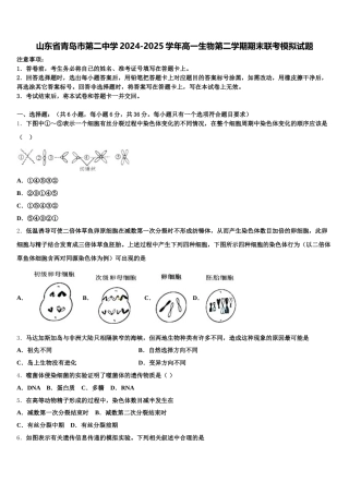 山东省青岛市第二中学2024-2025学年高一生物第二学期期末联考模拟试题含解析