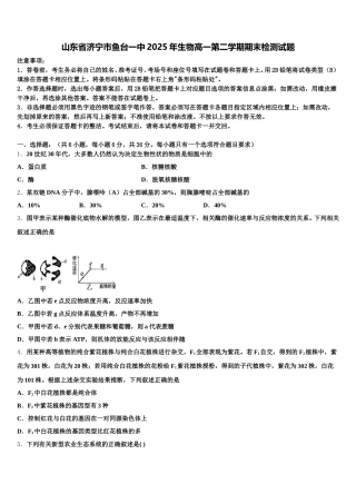 山东省济宁市鱼台一中2025年生物高一第二学期期末检测试题含解析