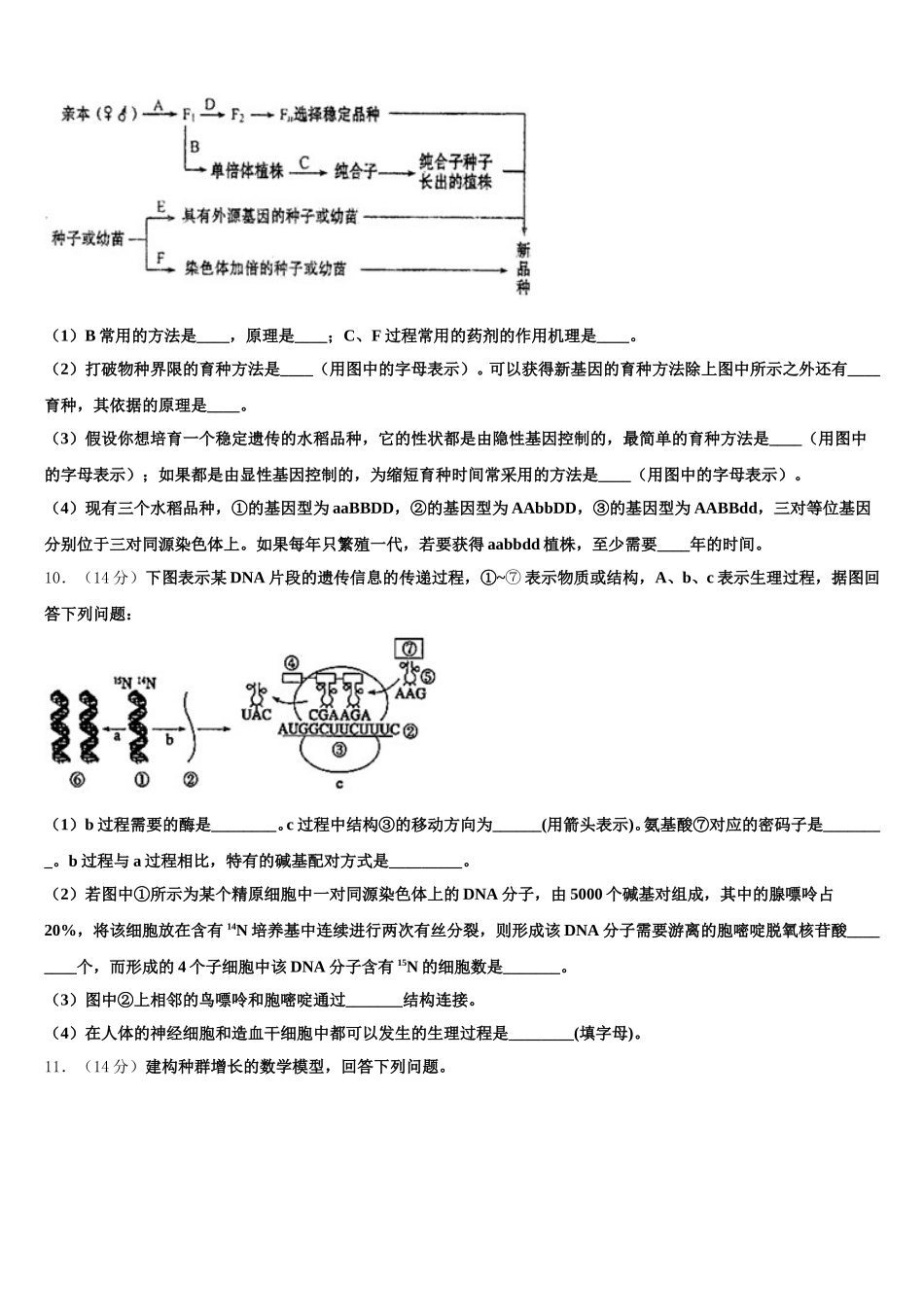 2025届山东省菏泽第一中学八一路校区生物高一下期末质量检测试题含解析_第3页