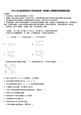 2025年山东省枣庄市八中东校区高一生物第二学期期末调研模拟试题含解析