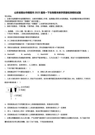 山东省烟台市栖霞市2025届高一下生物期末教学质量检测模拟试题含解析