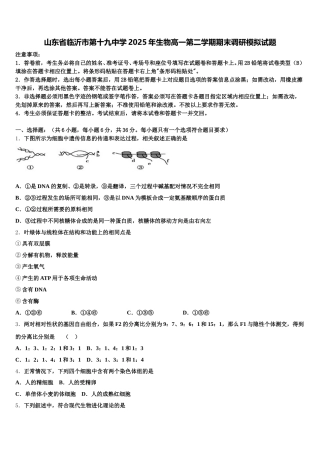 山东省临沂市第十九中学2025年生物高一第二学期期末调研模拟试题含解析