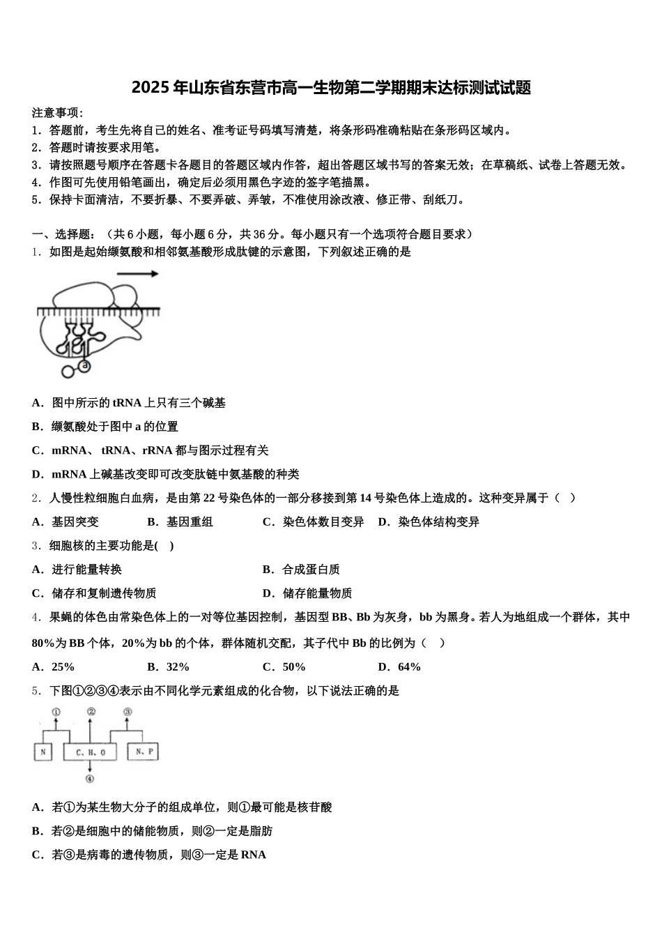 2025年山东省东营市高一生物第二学期期末达标测试试题含解析_第1页