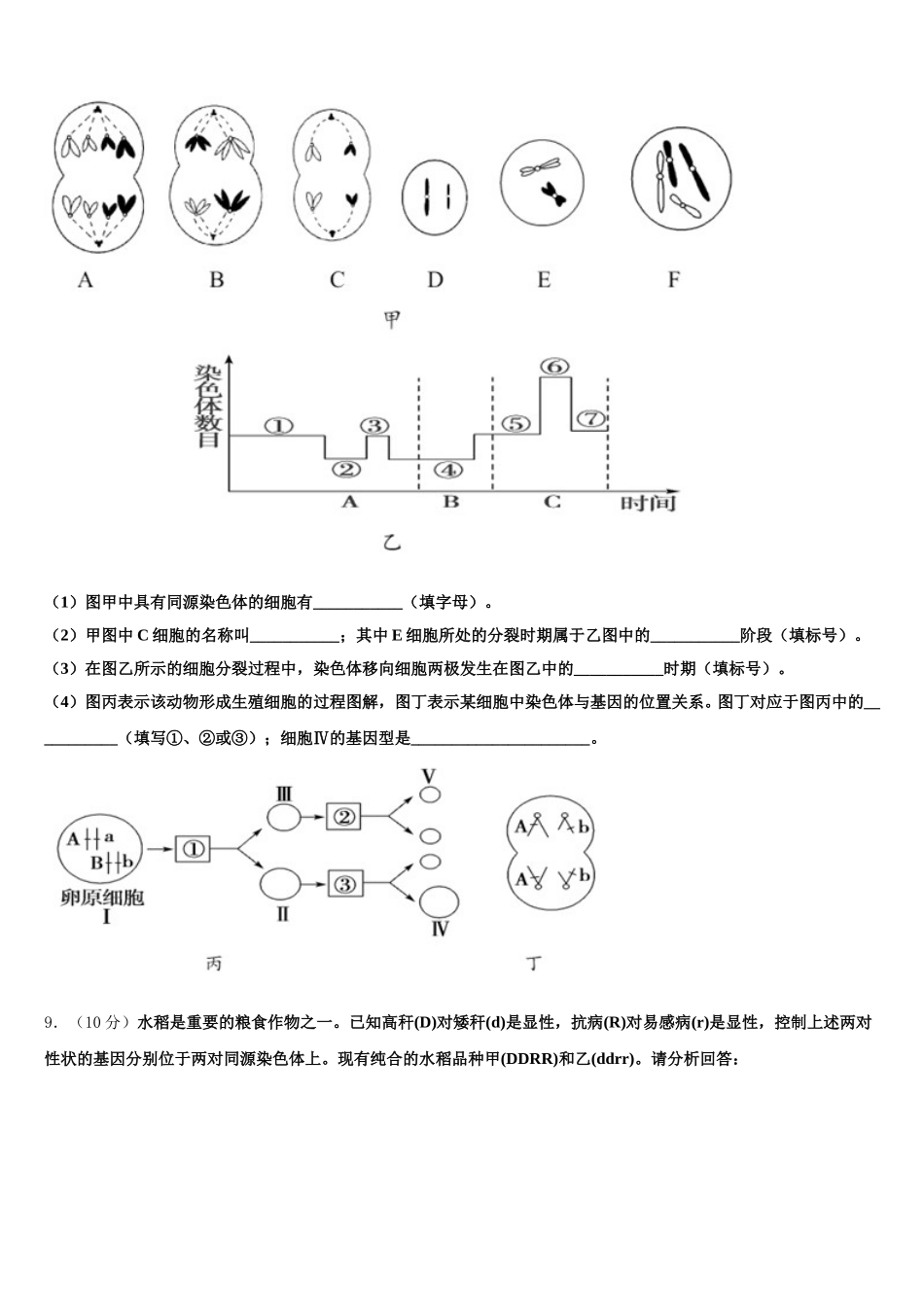 2025年山东省东营市高一生物第二学期期末达标测试试题含解析_第3页