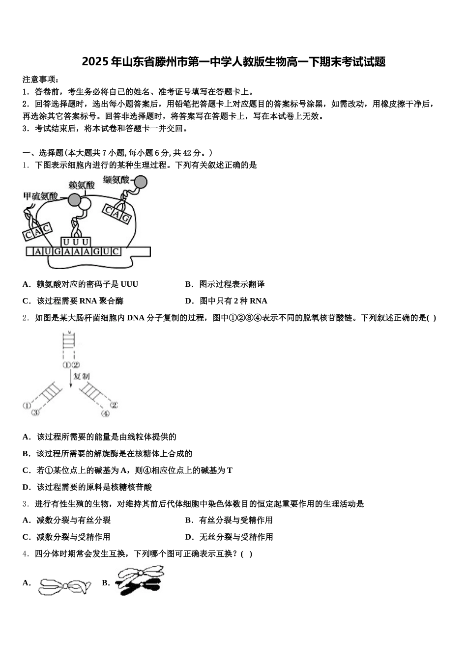 2025年山东省滕州市第一中学人教版生物高一下期末考试试题含解析_第1页