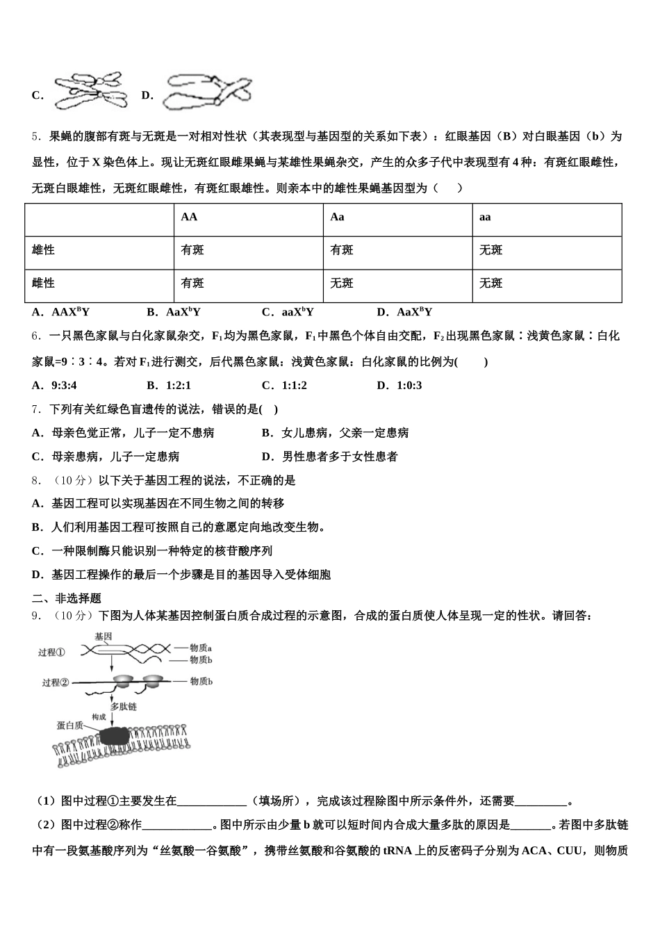 2025年山东省滕州市第一中学人教版生物高一下期末考试试题含解析_第2页