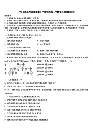 2025届山东省滨州市十二校生物高一下期末检测模拟试题含解析