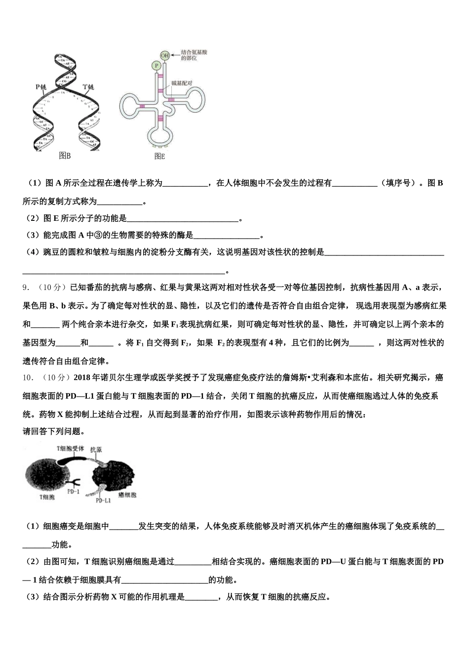 2025届山东平阴一中高一生物第二学期期末学业质量监测模拟试题含解析_第3页