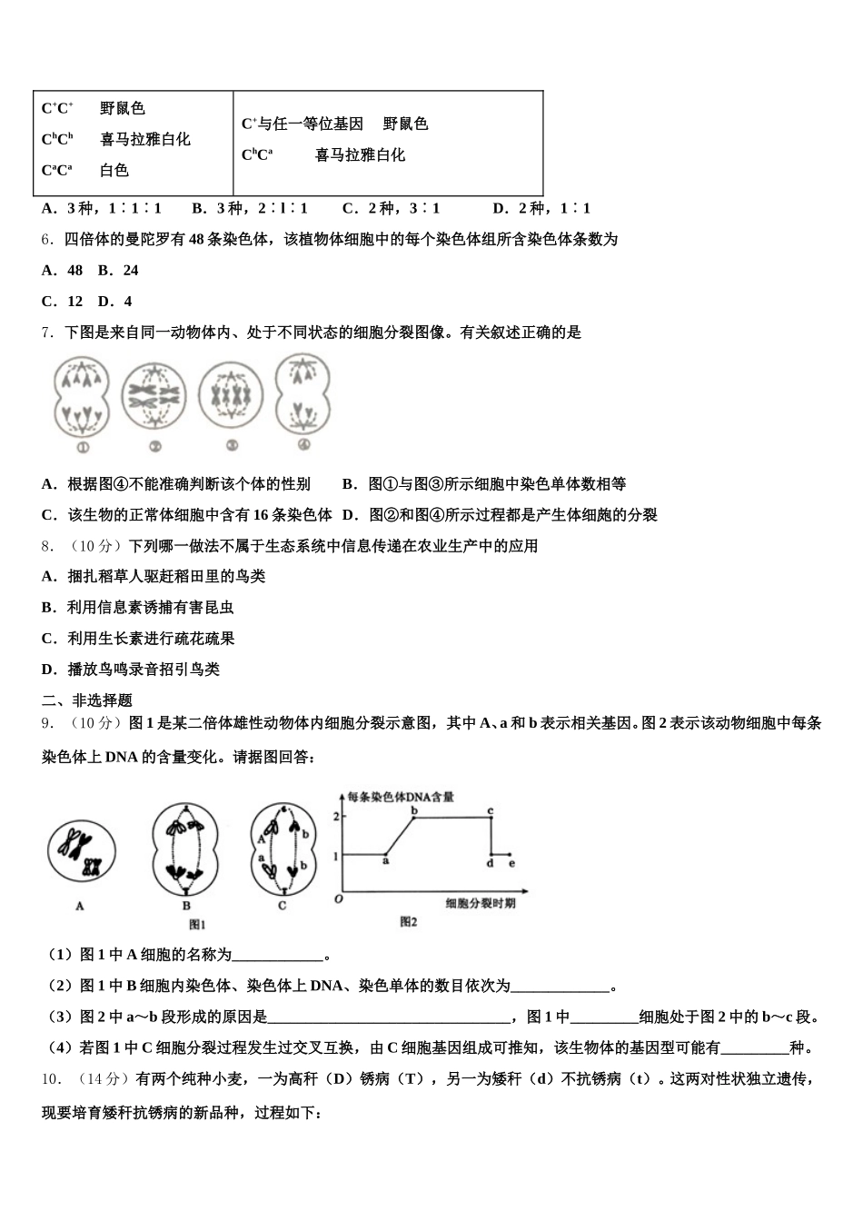 山东省宁阳第四中学2025届高一下生物期末统考试题含解析_第2页