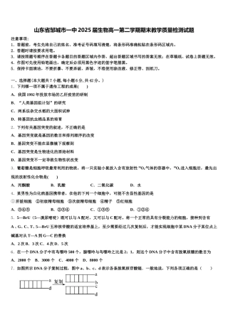 山东省邹城市一中2025届生物高一第二学期期末教学质量检测试题含解析