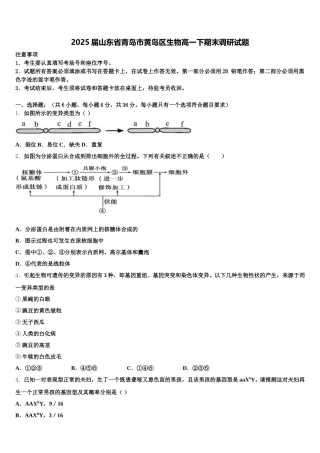 2025届山东省青岛市黄岛区生物高一下期末调研试题含解析