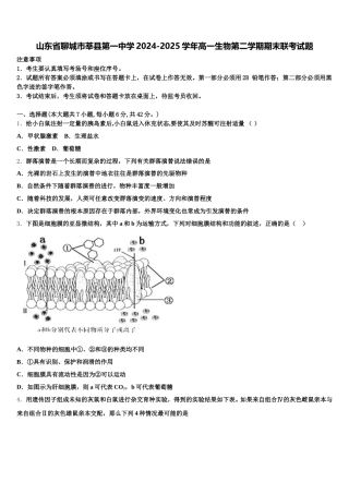 山东省聊城市莘县第一中学2024-2025学年高一生物第二学期期末联考试题含解析