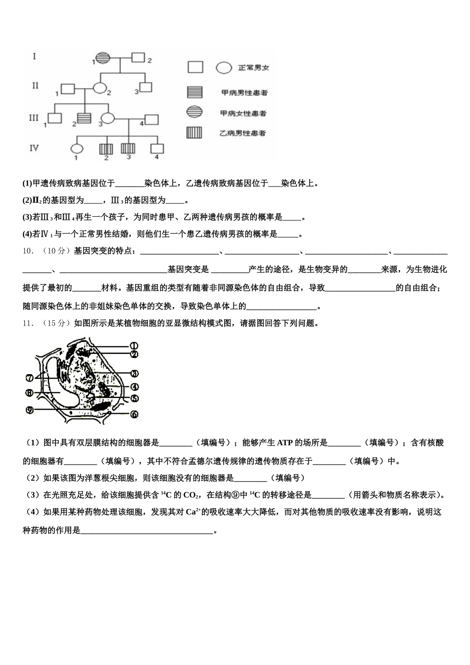 2025年山东省寿光现代中学高一生物第二学期期末检测模拟试题含解析_第3页