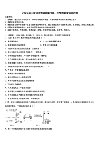 2025年山东省济省实验学校高一下生物期末监测试题含解析