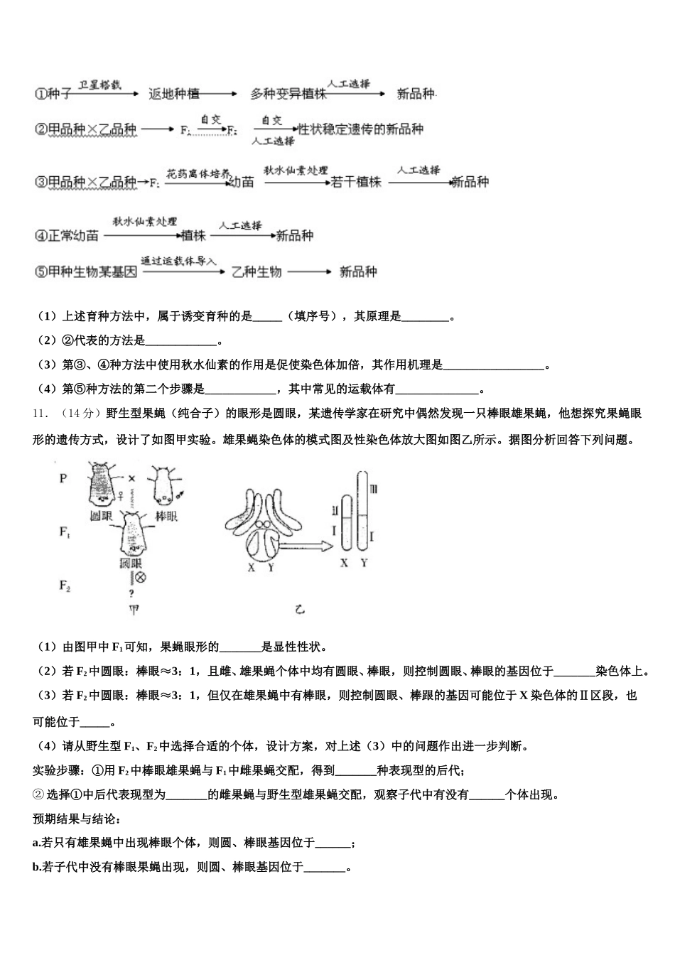 山东省济宁市达标名校2025届高一下生物期末统考试题含解析_第3页