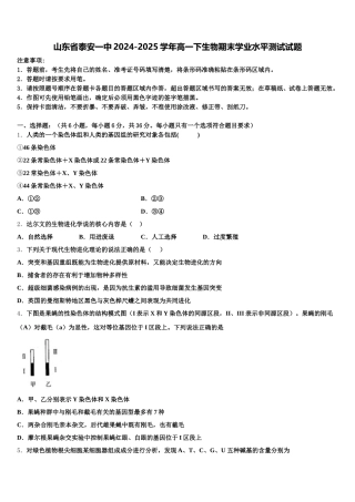 山东省泰安一中2024-2025学年高一下生物期末学业水平测试试题含解析