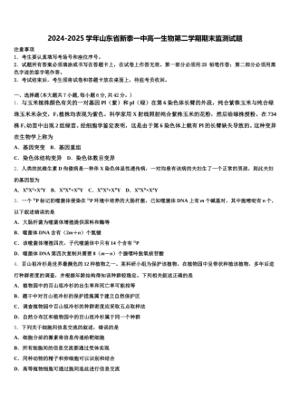 2024-2025学年山东省新泰一中高一生物第二学期期末监测试题含解析