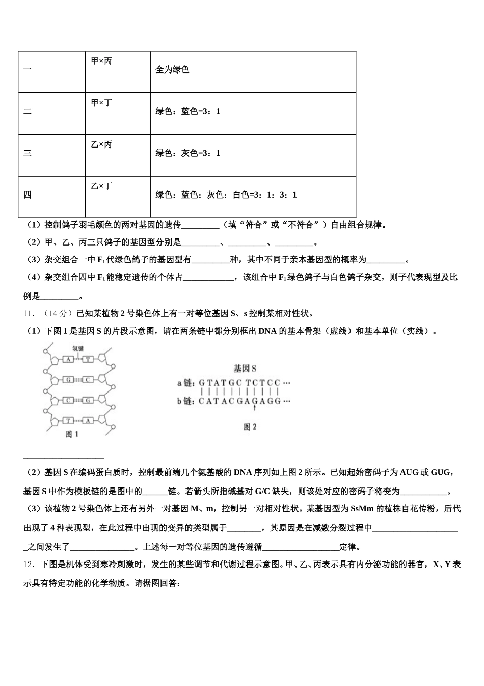 山东省肥城市2025届高一下生物期末学业质量监测模拟试题含解析_第3页