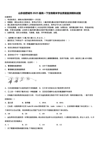 山东省肥城市2025届高一下生物期末学业质量监测模拟试题含解析