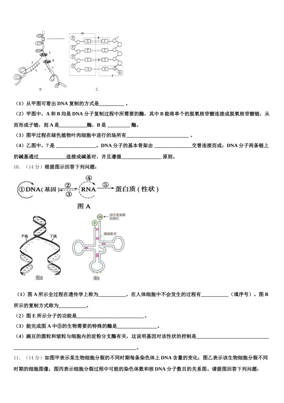 山东菏泽一中2025届生物高一下期末统考模拟试题含解析_第3页