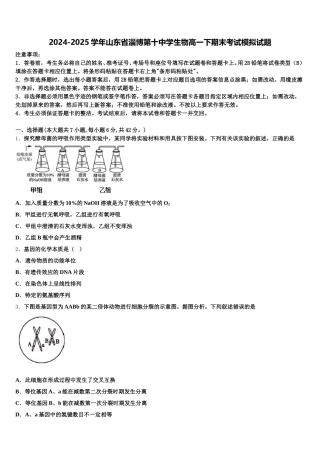 2024-2025学年山东省淄博第十中学生物高一下期末考试模拟试题含解析