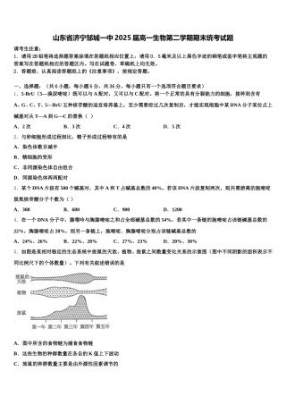 山东省济宁邹城一中2025届高一生物第二学期期末统考试题含解析