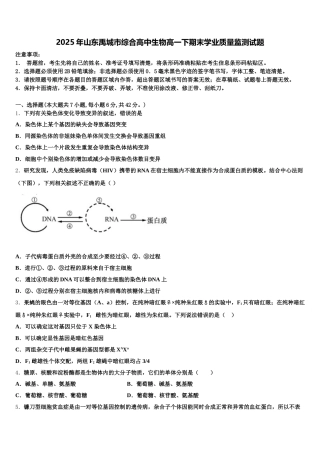 2025年山东禹城市综合高中生物高一下期末学业质量监测试题含解析