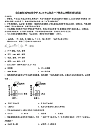 山东省邹城市实验中学2025年生物高一下期末达标检测模拟试题含解析