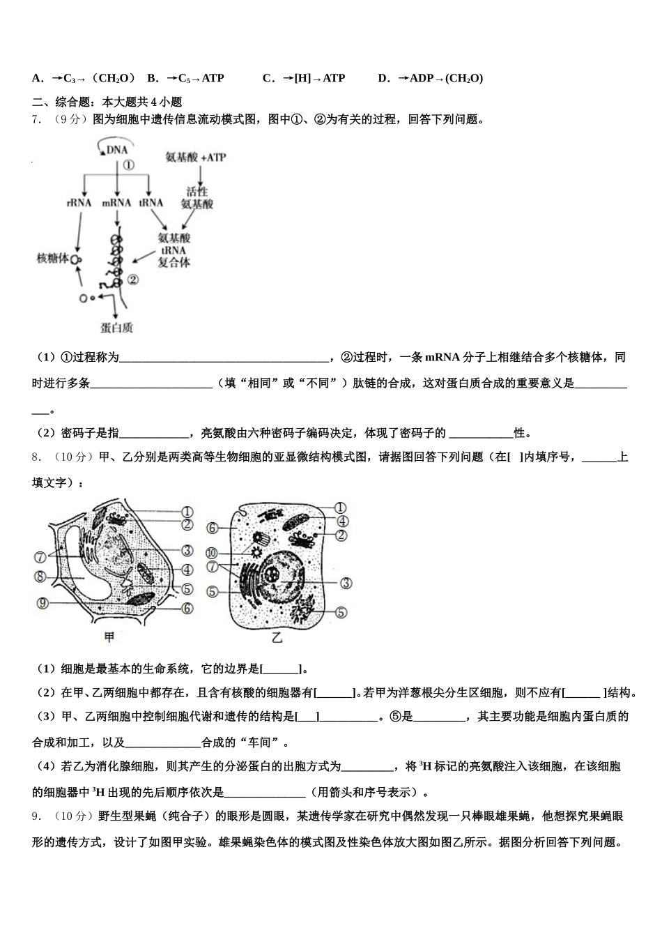 2024-2025学年山东省聊城市莘县第一中学生物高一下期末复习检测模拟试题含解析_第2页