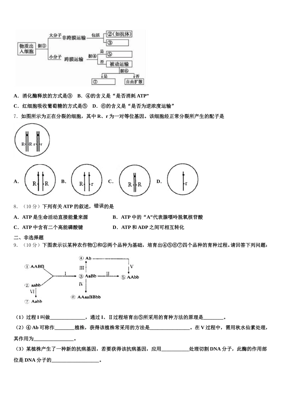 青岛第二中学2024-2025学年高一下生物期末达标检测试题含解析_第2页