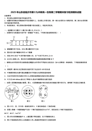 2025年山东省临沂市第十九中新高一生物第二学期期末复习检测模拟试题含解析