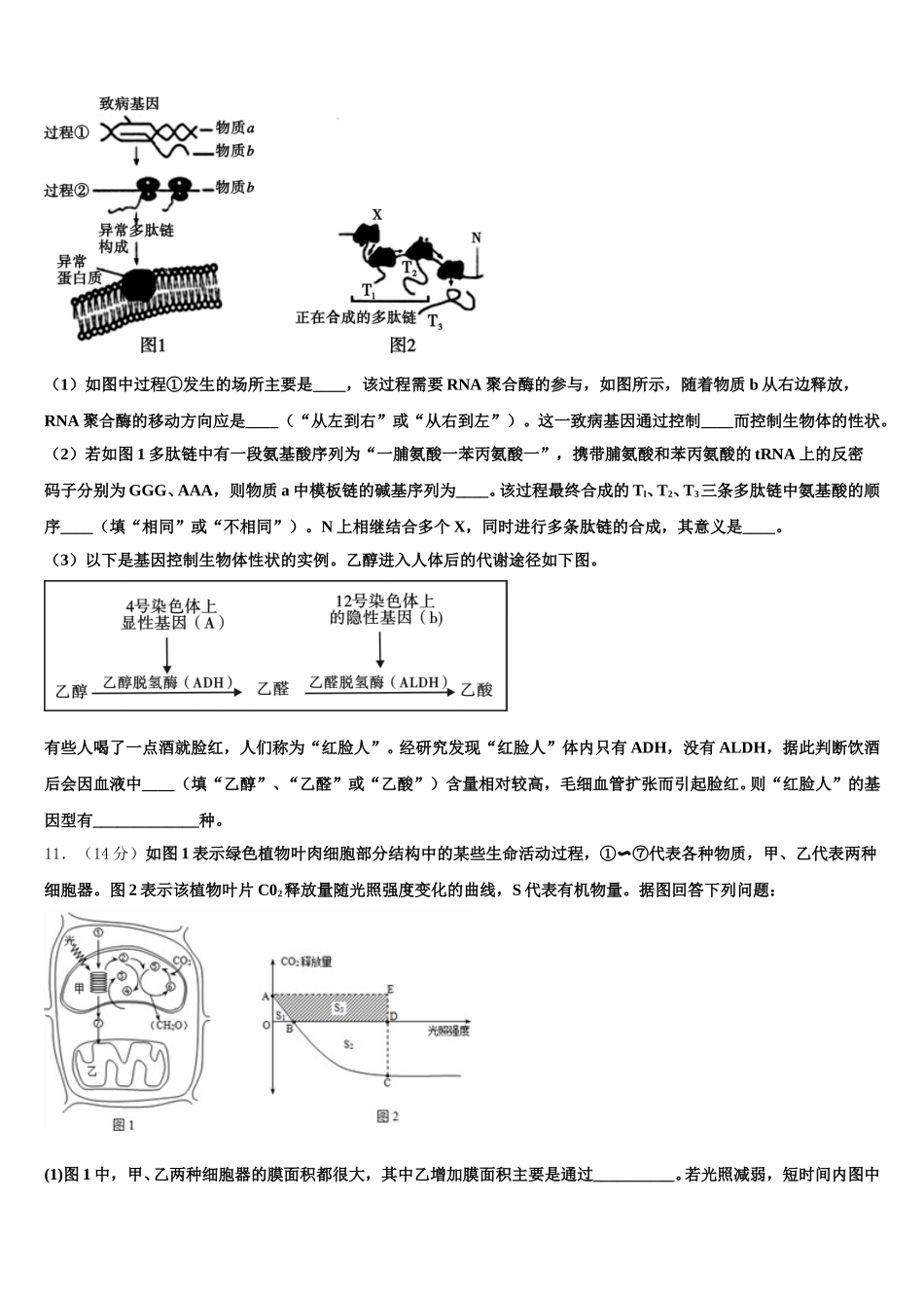 2025年山东肥城市泰西中学高一生物第二学期期末学业水平测试试题含解析_第3页